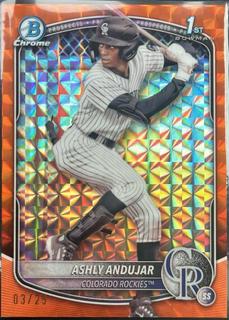 Ashly Andujar