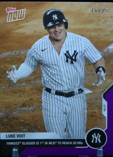 Luke Voit