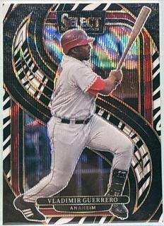 Vladimir Guerrero