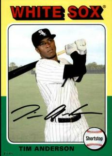 Tim Anderson