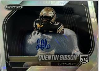Quentin Gibson