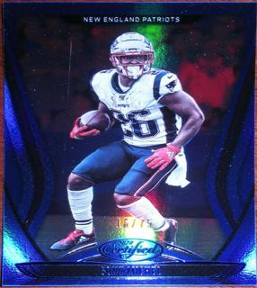 Sony Michel