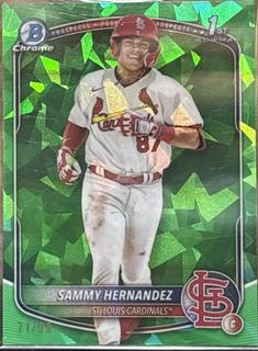 Sammy Hernandez