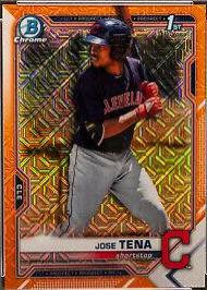 Jose Tena
