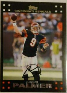 Carson Palmer