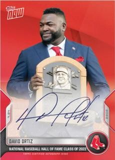 David Ortiz