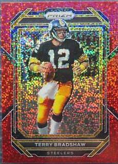Terry Bradshaw