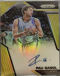 Pau Gasol
