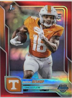DeSean Bishop