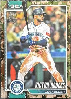 Victor Robles
