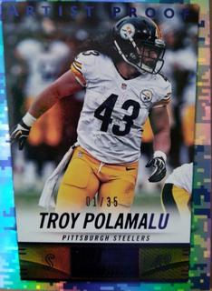 Troy Polamalu