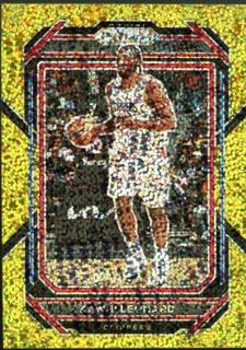 Kawhi Leonard