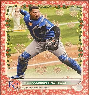 Salvador Perez
