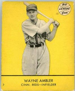 Wayne Ambler