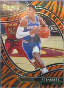 RJ Barrett
