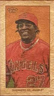 Vladimir Guerrero