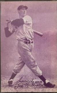 Ted Williams