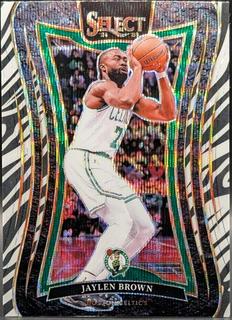 Jaylen Brown