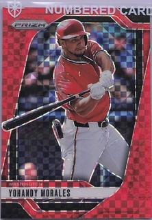 Yohandy Morales