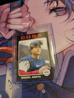 Miguel Amaya