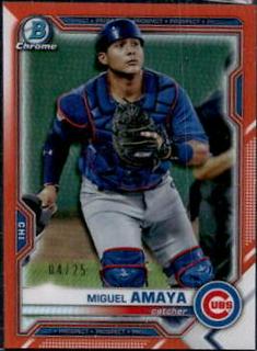 Miguel Amaya