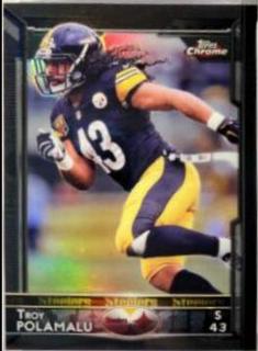 Troy Polamalu