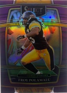 Troy Polamalu