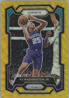 PJ Washington Jr.