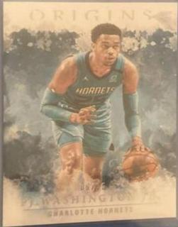 PJ Washington Jr.