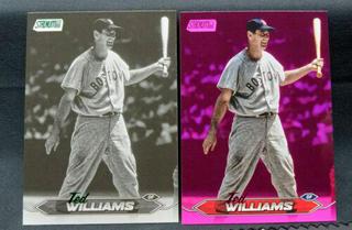 Ted Williams