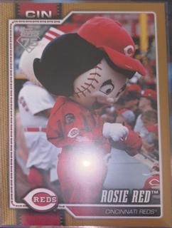 Rosie Red Cincinnati Reds