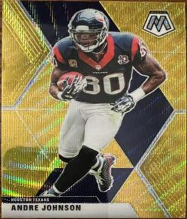 Andre Johnson