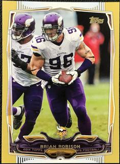 Brian Robison