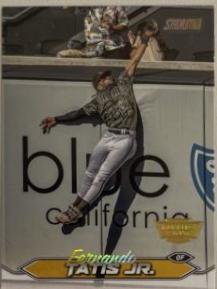 Fernando Tatis Jr.