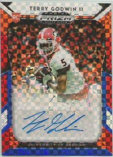 Terry Godwin II