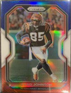 Chad Johnson