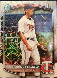 Haritzon Castillo
