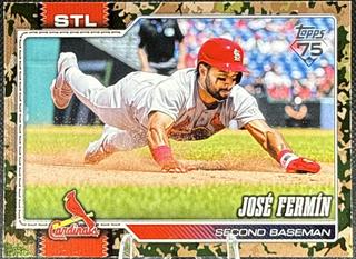 Jose Fermin