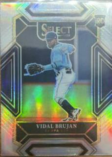 Vidal Brujan