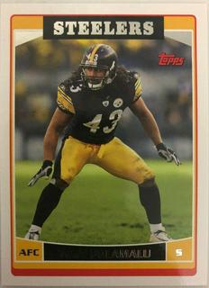 Troy Polamalu