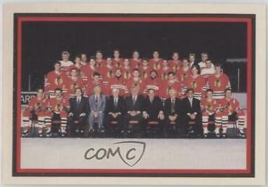 Chicago Blackhawks #95 Hockey Cards 1990 Kraft