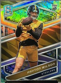Payton Wilson