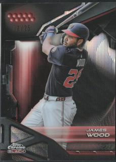 James Wood