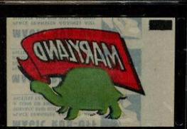 Maryland Terrapins