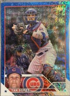 Yan Gomes