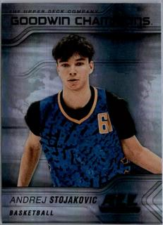 Andrej Stojakovic