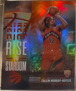 Collin Murray-Boyles