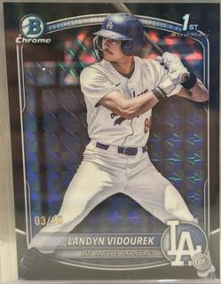 Landyn Vidourek