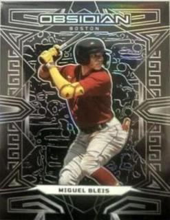 Miguel Bleis