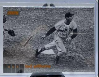 Ted Williams